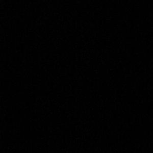 Meet your Posher, Bailey